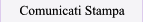 Comunicati Stampa